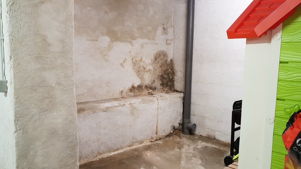 Infiltrations d'eau - Expertise humidité à Cahors